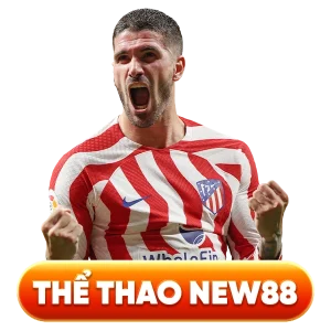 thể thao new88